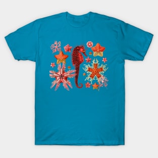 RED SEAHORSE AND SEASTARS IN AQUA BLUE Sea Life T-Shirt